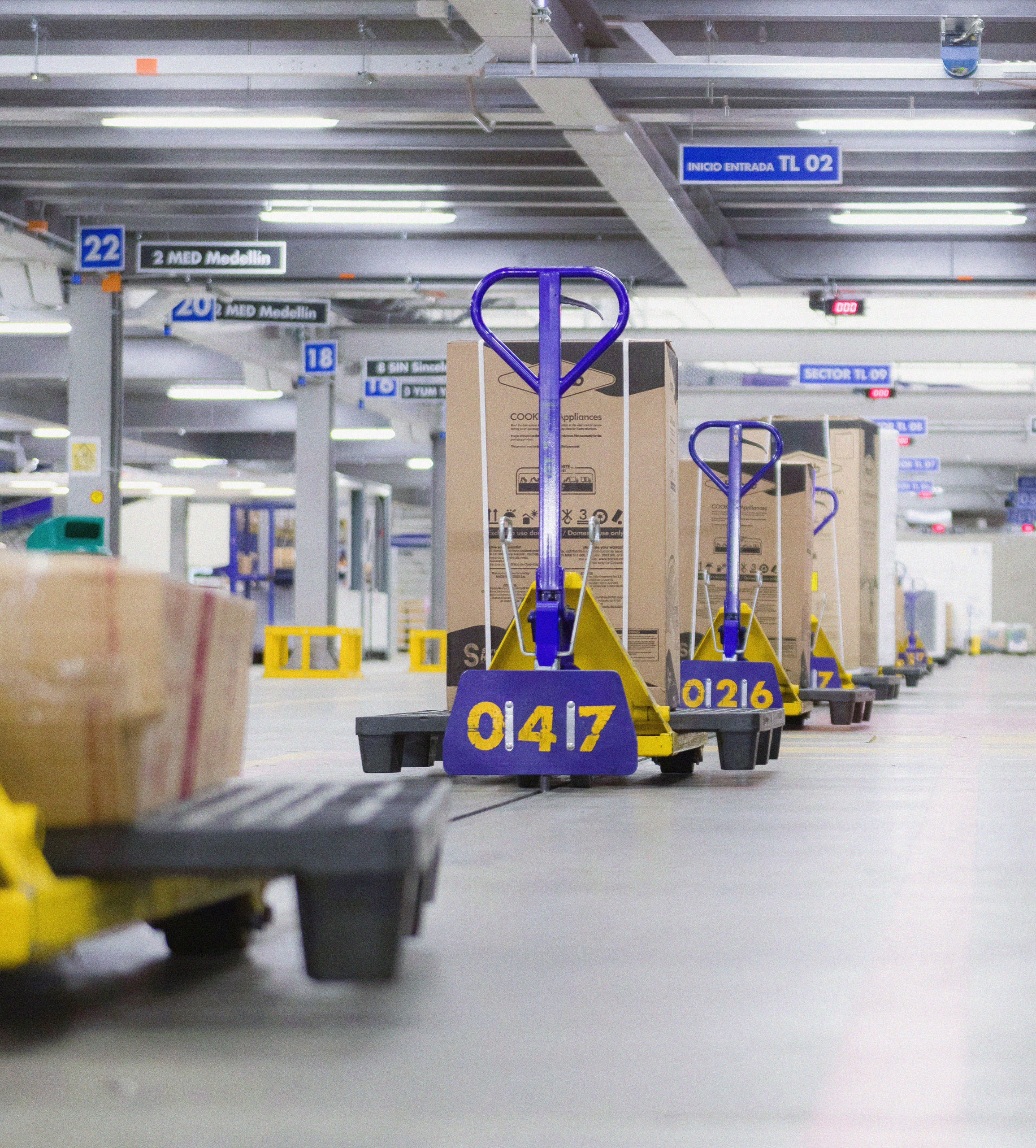 Copia de Copia de OSC_7658