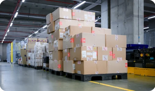 AGRUPADORA GUIA MULTIPLE MEXICO 350 X 205