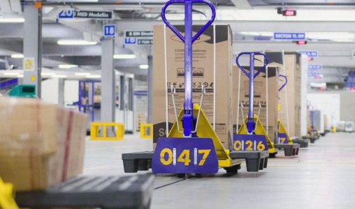 Copia de Copia de OSC_7658 Copia de Copia de OSC_7658